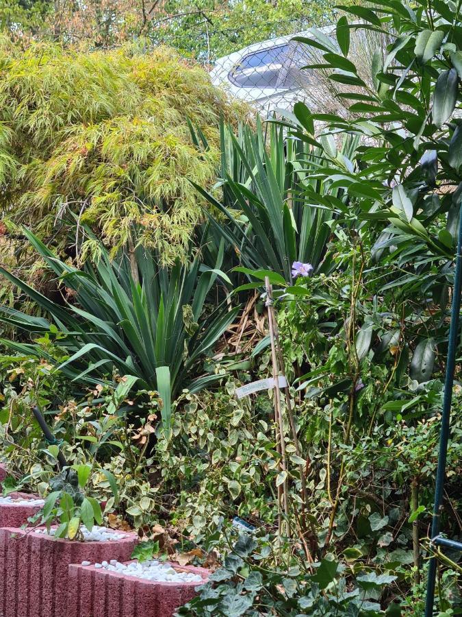 Cozy Room With A Beautiful Garden View Baunatal Luaran gambar